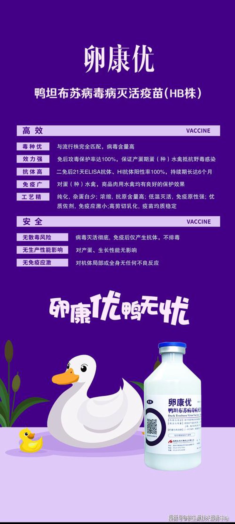 探索未来农场：自动化养鸭设备引领行业